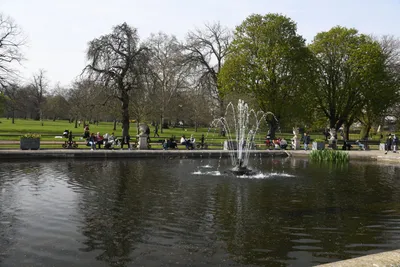 DSC_6882 (Large).JPG